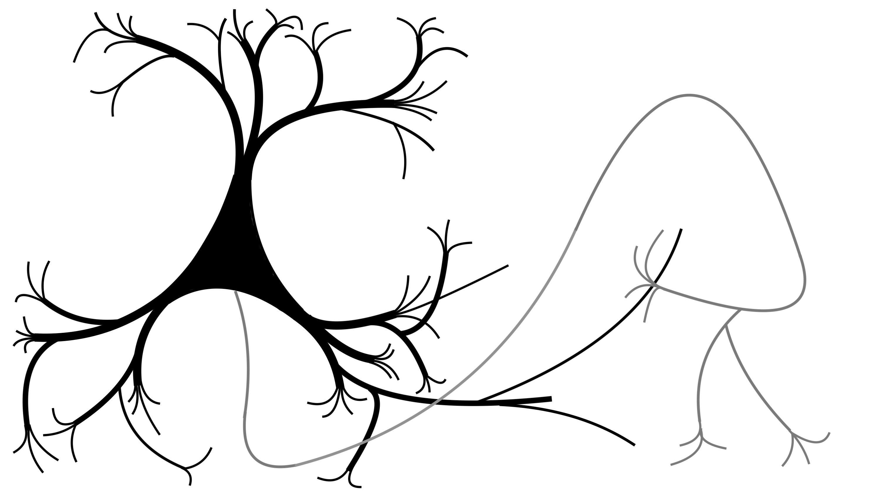 Artistic rendering of a neuron